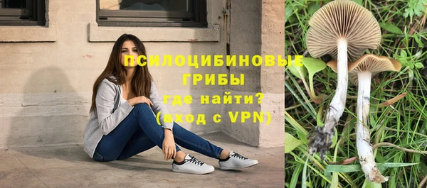 гашик Абдулино