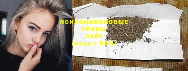 ECSTASY Абаза