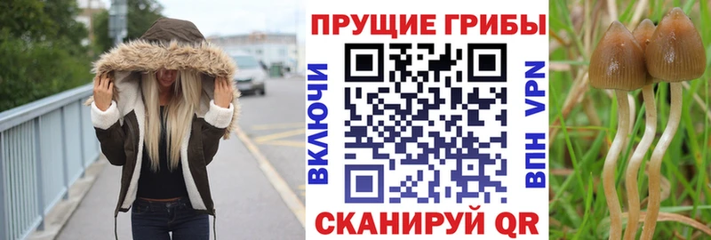 Псилоцибиновые грибы MAGIC MUSHROOMS  Чебаркуль 