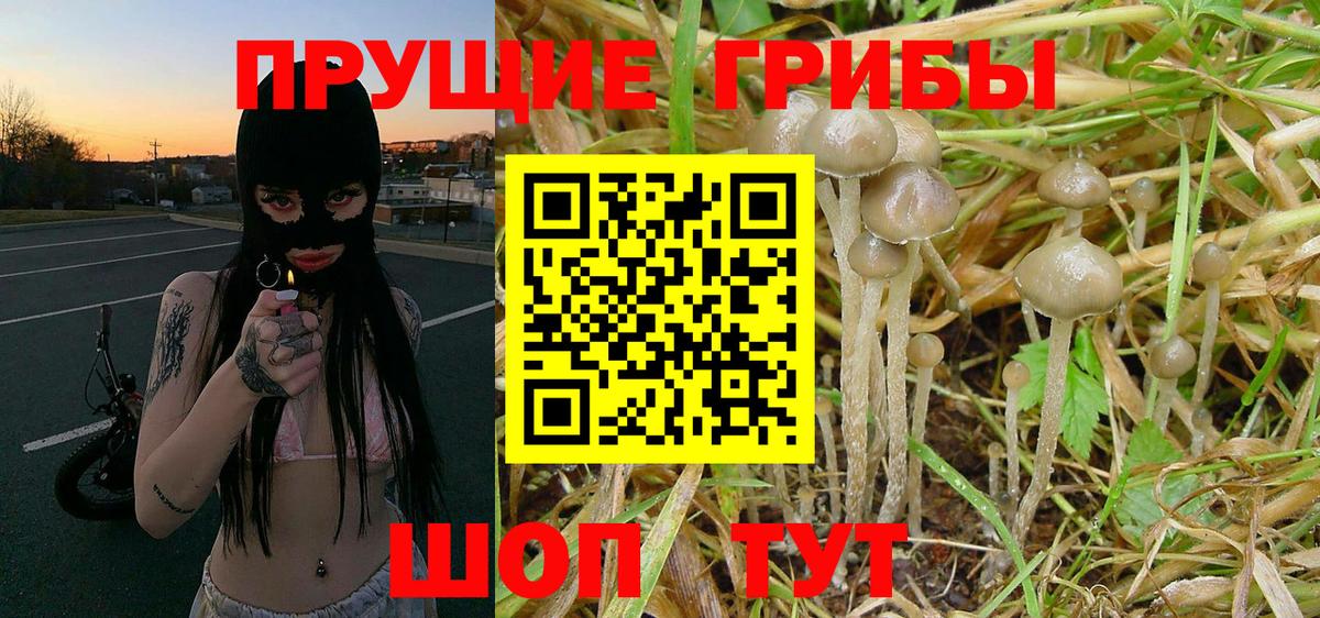 Галлюциногенные грибы MAGIC MUSHROOMS  Вход с VPN  Чебаркуль 