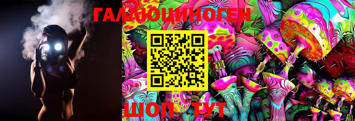 Псилоцибиновые грибы Psilocybe Чебаркуль